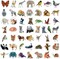 Cute Animal Stickers - Realistic Animals Decal for Kids Teens